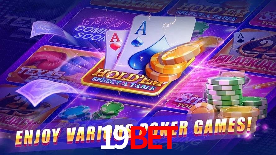 Interface Premium 19BET